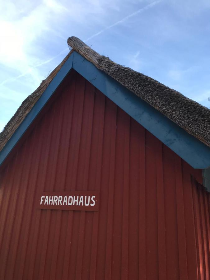 Steuermannskammer by Ferienhaus Strandgut Born Eksteriør billede